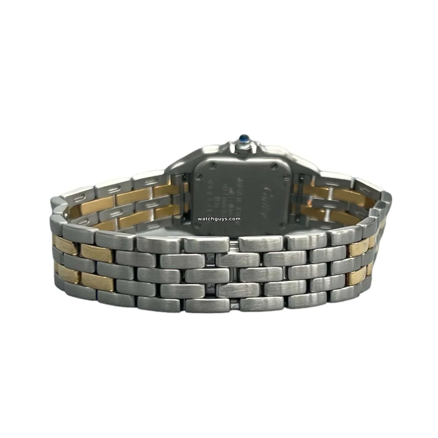 Panthere 1120 Steel & Yellow Gold