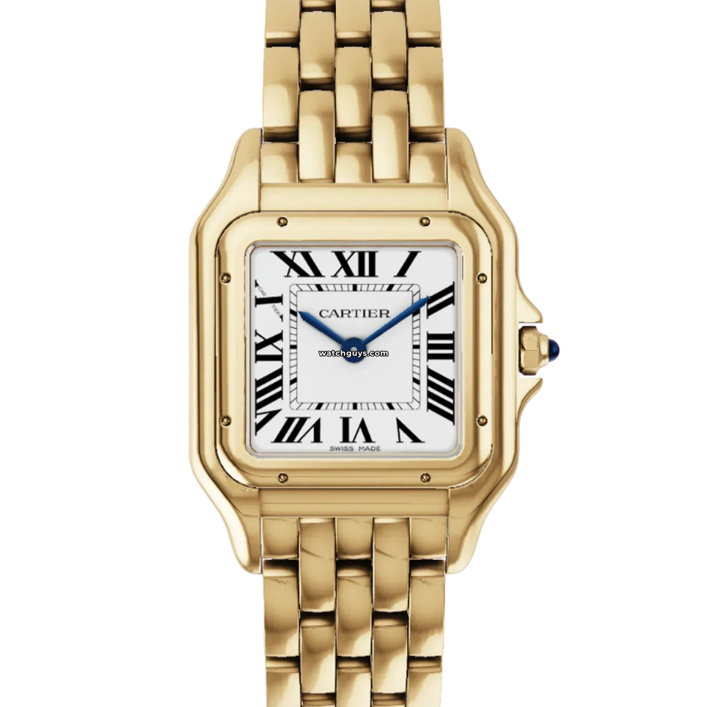 Panthere Medium WGPN0009