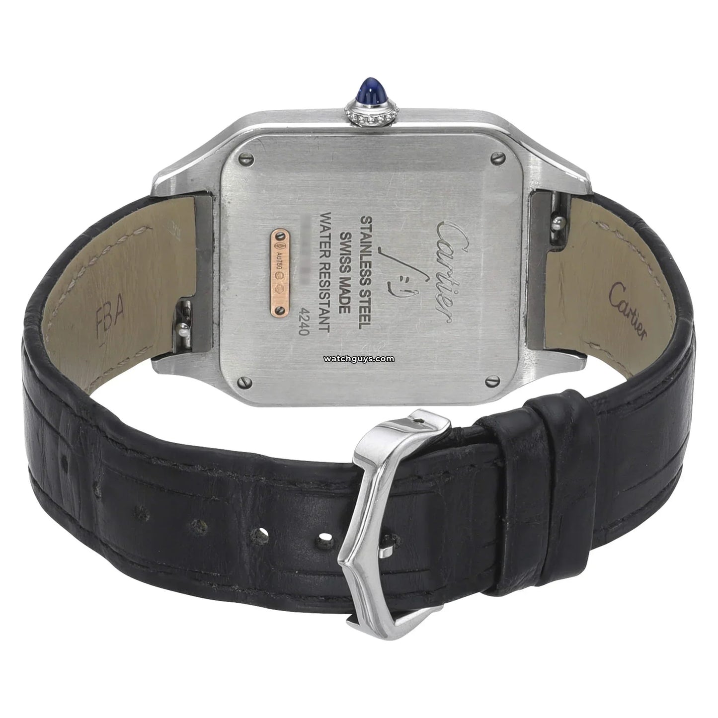 Santos Dumont Large W2SA0011