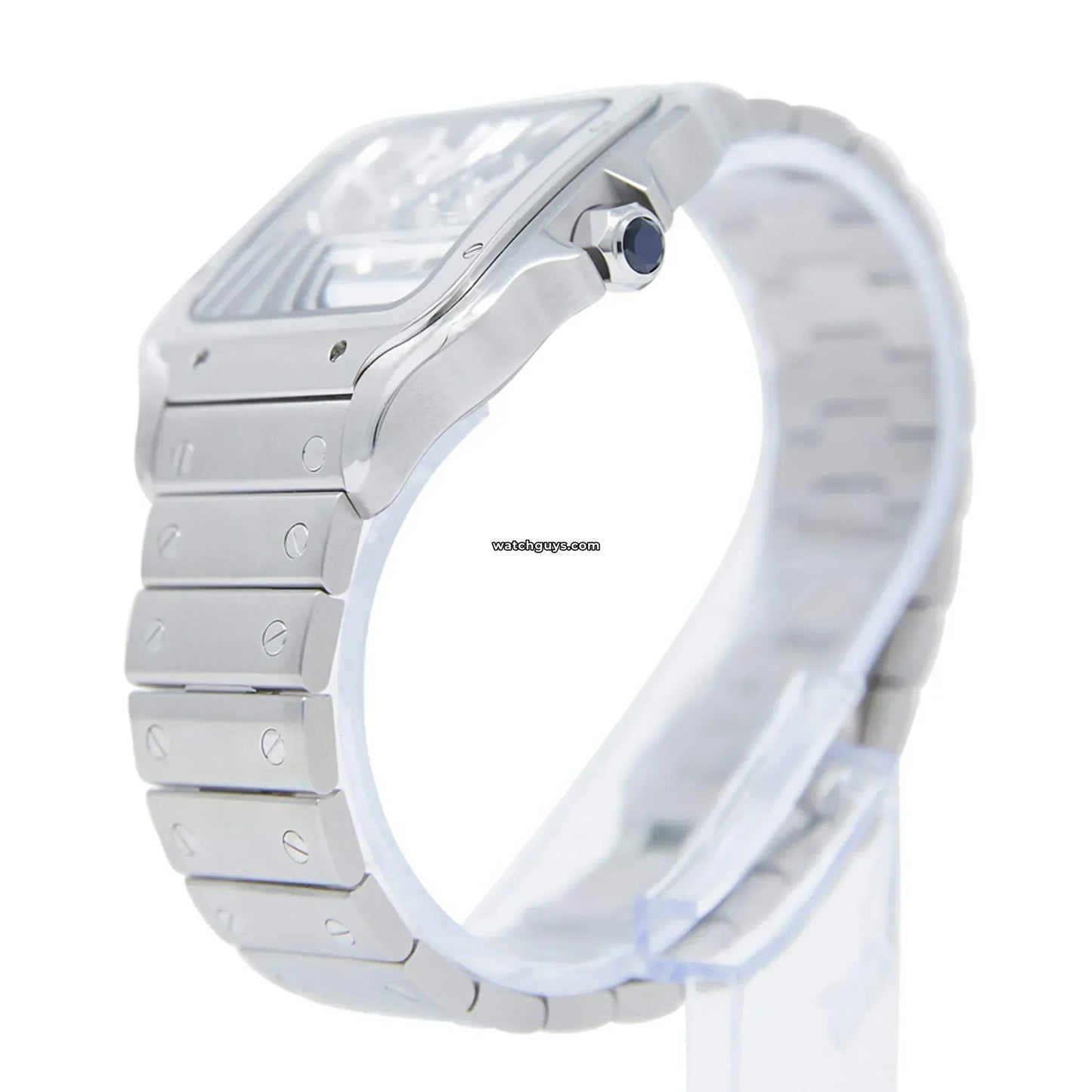 Santos Skeleton Large WHSA0015