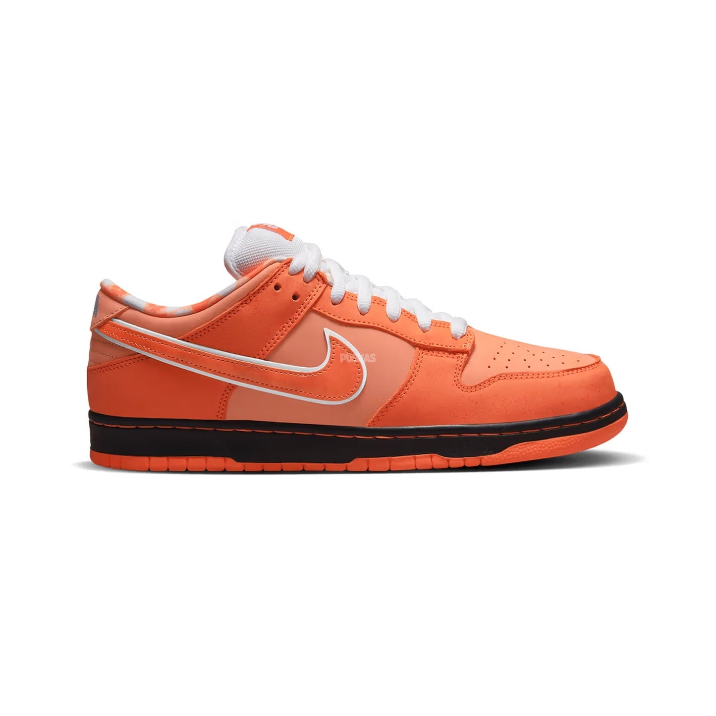 New SB Dunk Low 'Concepts Orange Lobster' (Special Box) (2022)