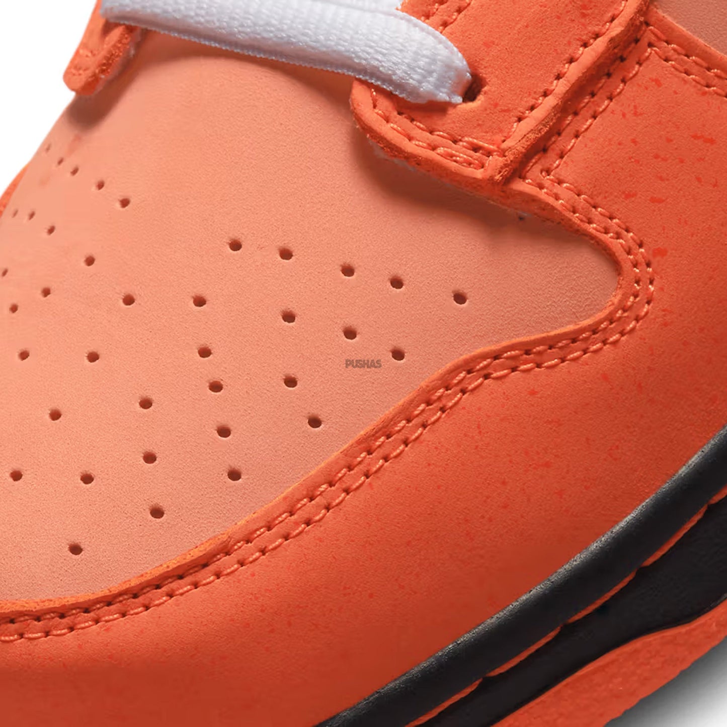 New SB Dunk Low 'Concepts Orange Lobster' (Special Box) (2022)