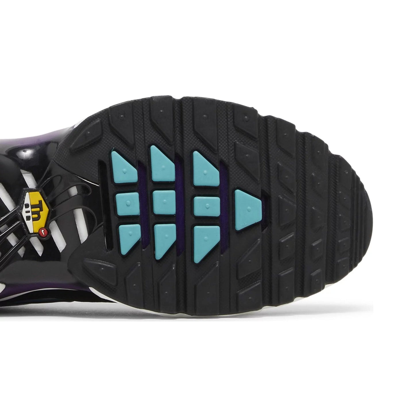 New Air Max Plus TN 'Reverse Grape' (2023)