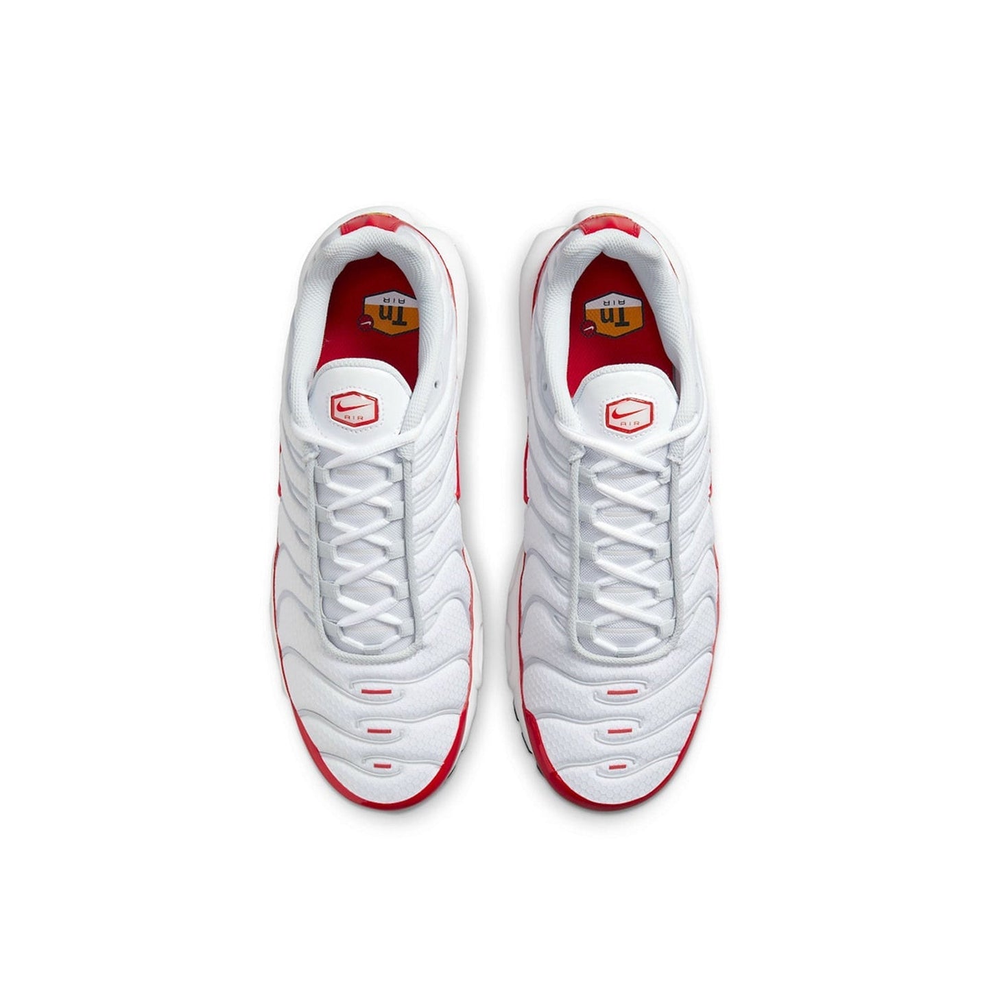 Air Max TN Plus 'Air Max 1'