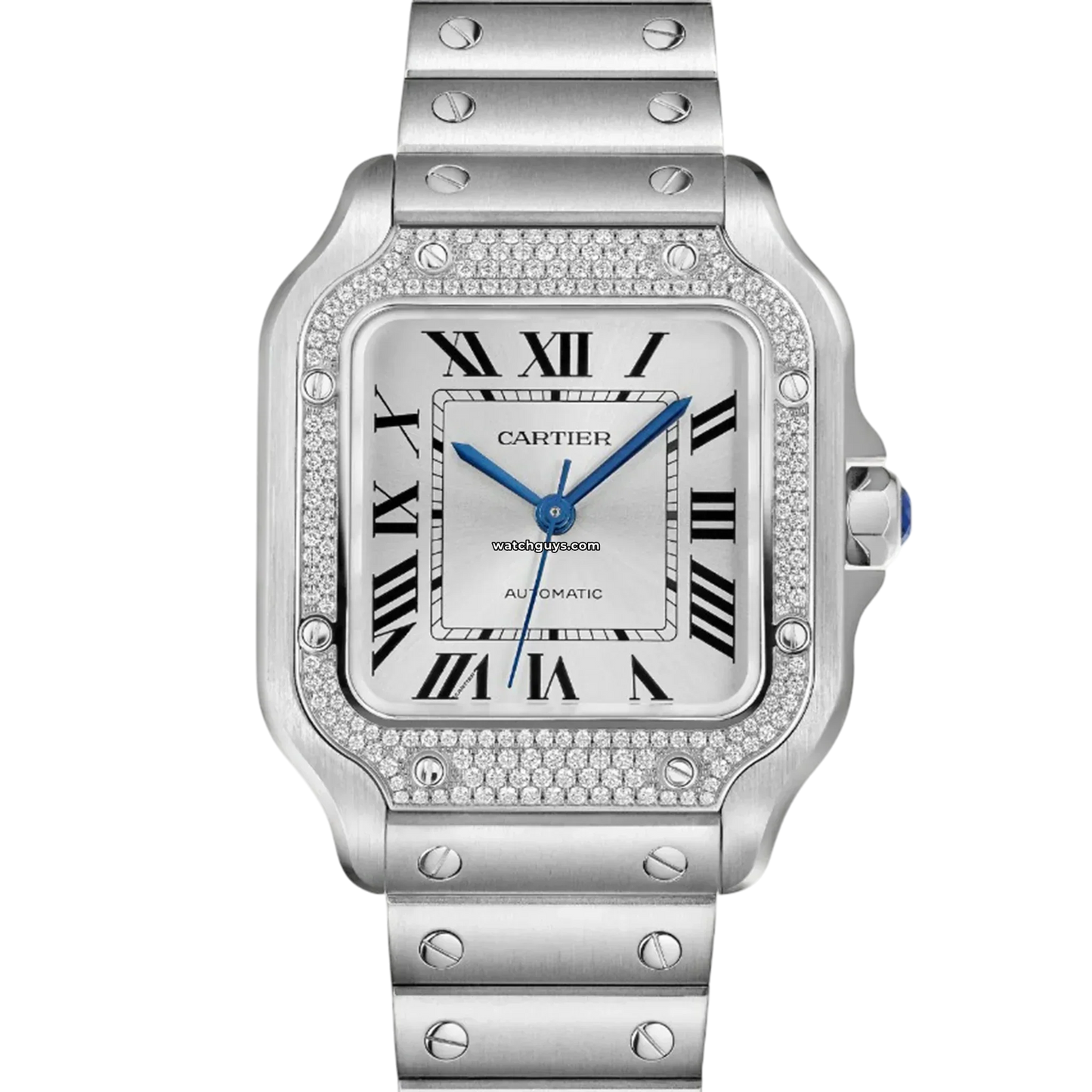 Santos Medium W4SA0005 Stainless Steel